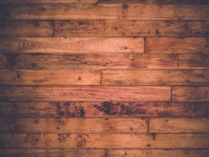 Short Stories / গল্প