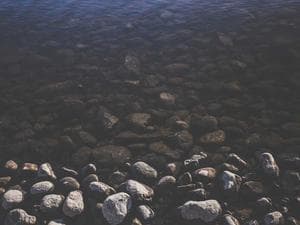 Travel Stories